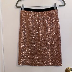 The Limited Sequin Skirt